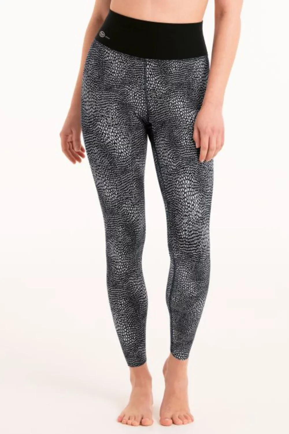 prod_493005_prev_0_1738742244